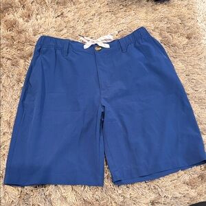 Blue Chubbies Shorts